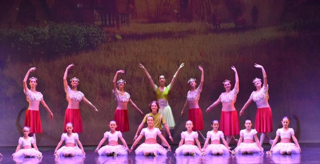 DANCE TEAM – La scuola di danza è pronta a ripartire