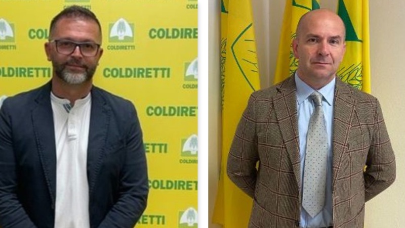 OLDIRETTI VERCELLI-BIELLA – Manovra: bene misure agricole